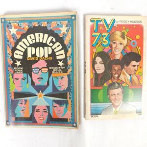 Vintage Book Lot TV 73 by Peggy Hudson & American Pop By David Dachs